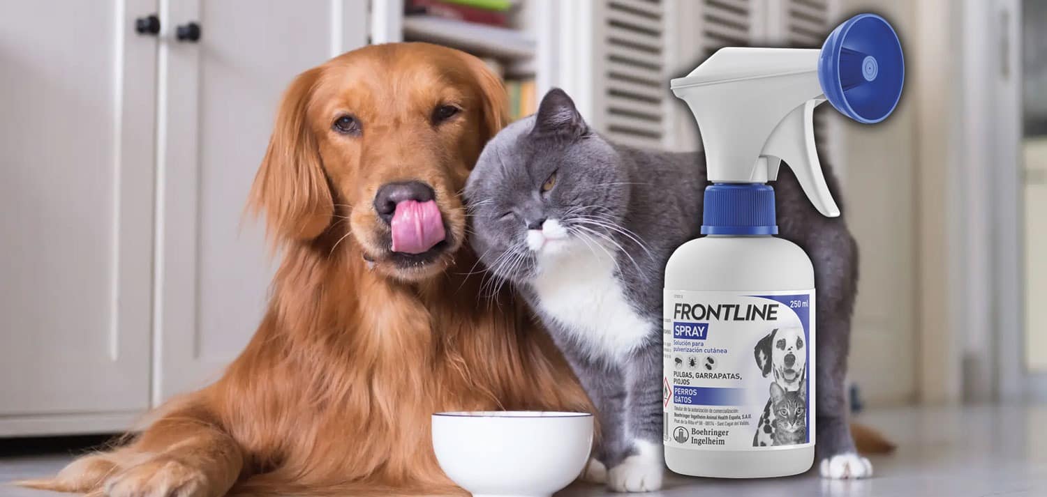 Frontline Spray: ¡Protección Total para Tu Mascotifriend!
