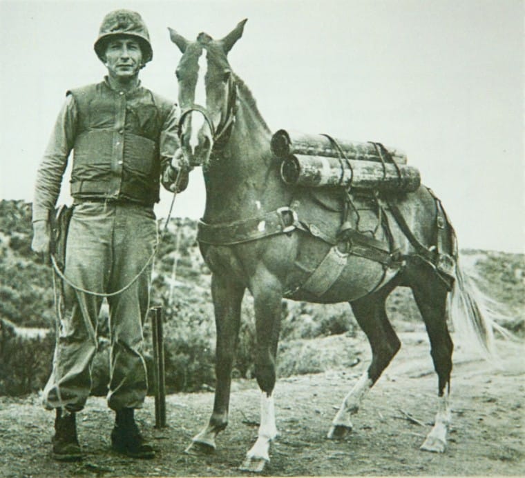 sergeant reckless