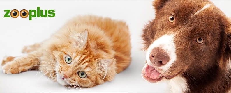 Zooplus: la mejor tienda online para gatos con una amplia selección de productos